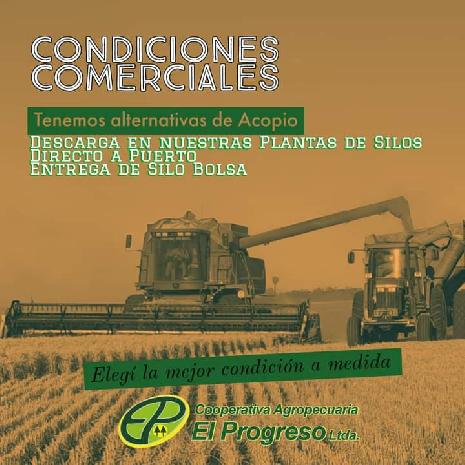 <h3><a href='http://caelprogreso.com.ar/novedades/#124' title='Comercialización de cereales'>Comercialización de cereales</a></h3><span>...</span>